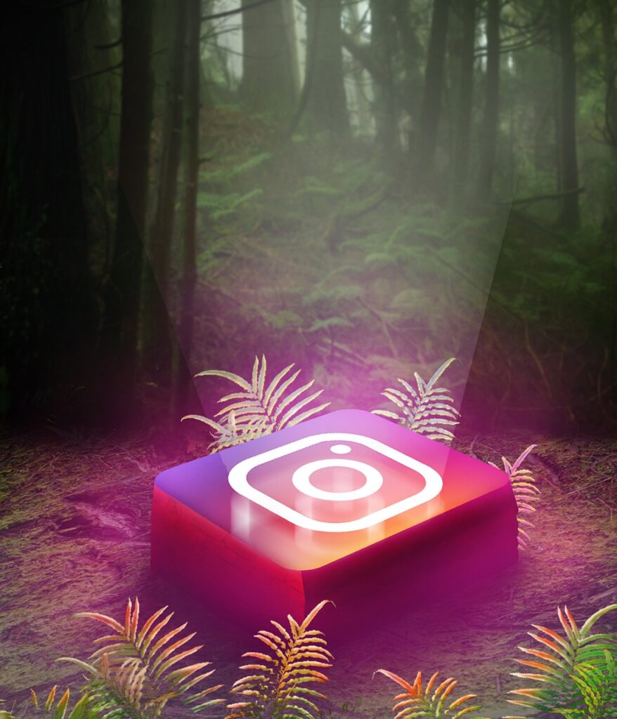 ¿A partir de cuántos seguidores te paga Instagram? Plataformas complementarias