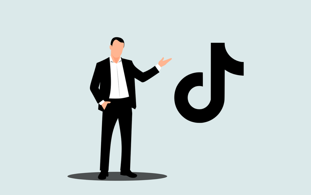 Comprar Likes TikTok Soporte profesional las 24 horas