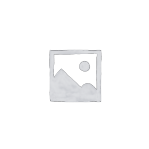 Seguidores Telegram